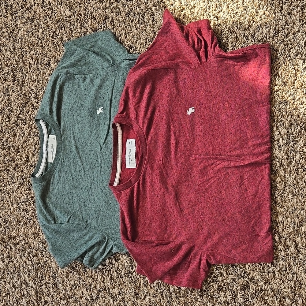 Abercrombie Men's Short Sleeve Tee- Medium 2 pack: Maroon and Green